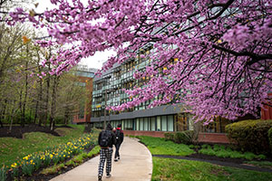 Students walking outside Students walking outside